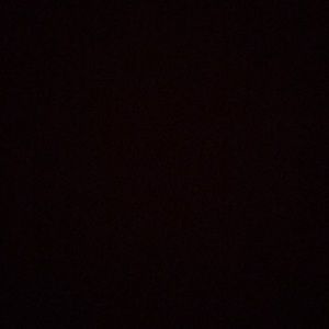 Meet your Posher, Brittiny